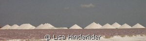 The drying ponds are vivid pink from the brine next to th... by Lisa Hinderlider 